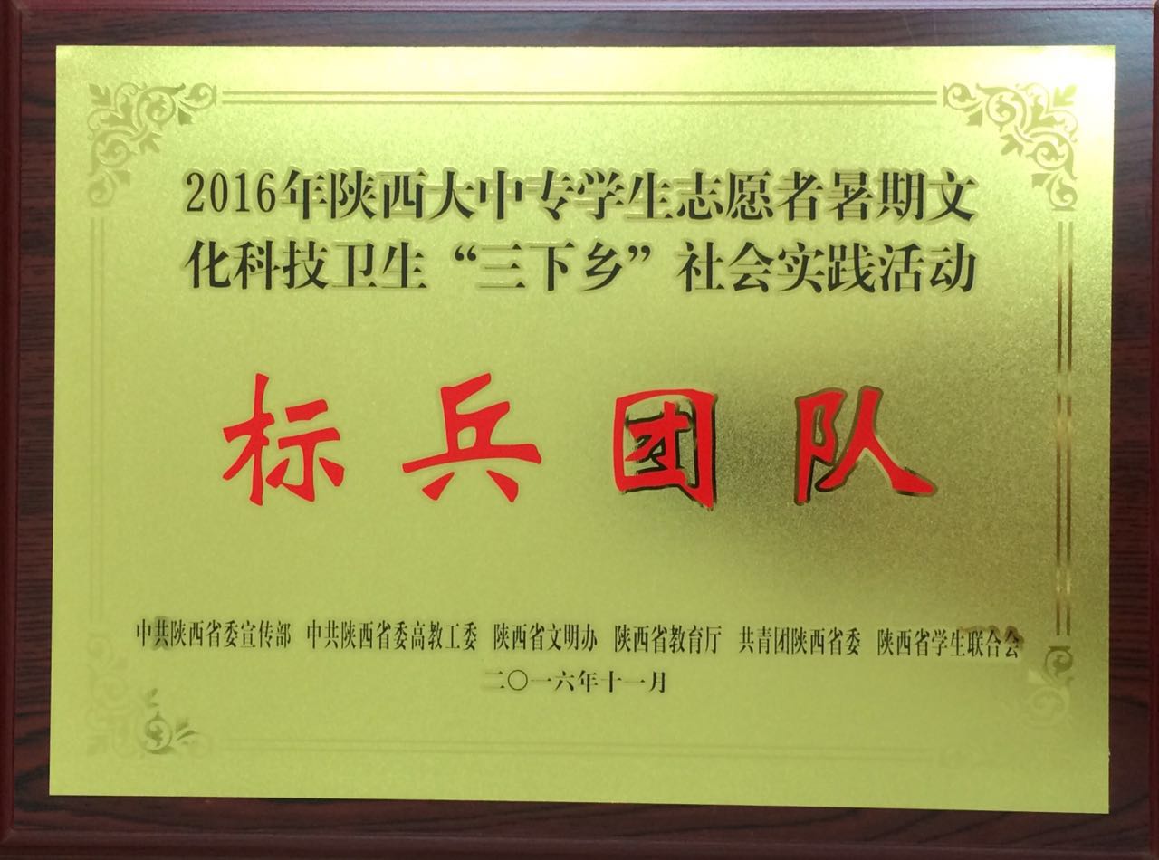 我院“星火”三下乡志愿者服务队荣获“标兵团队”称号