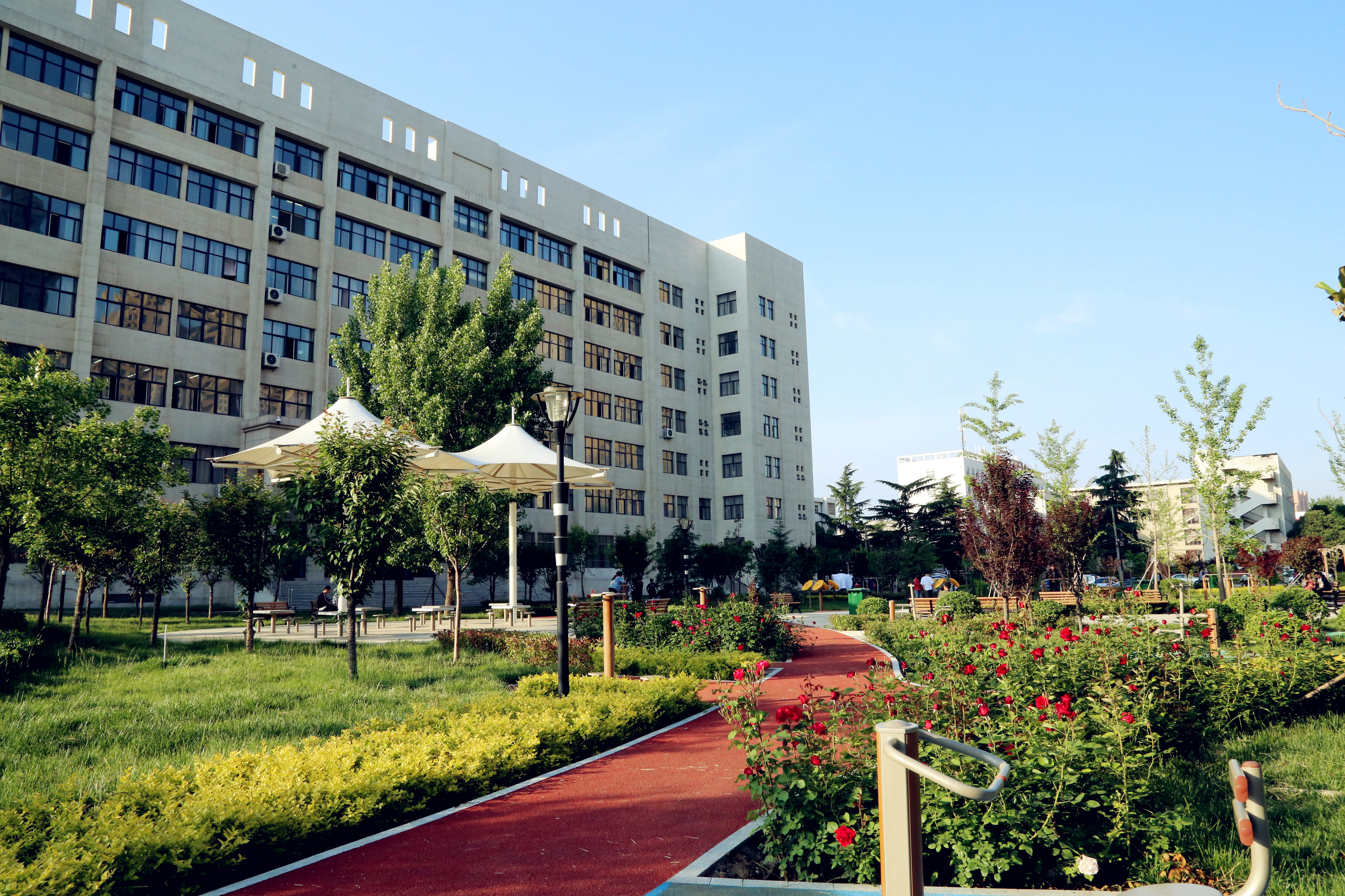 优美的校园环境 优美的校园环境