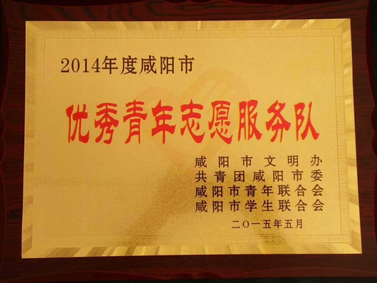 优秀志愿者服务队奖牌