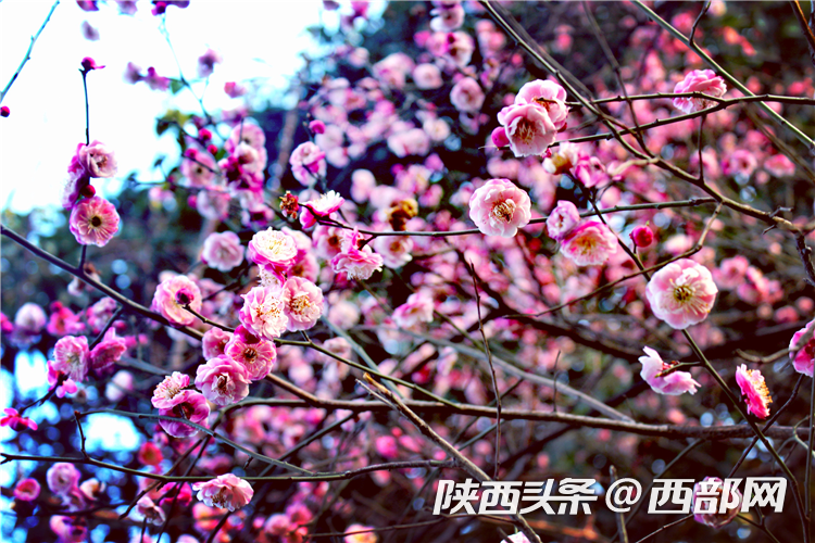 fd1edfc298bab4c91d1978e649d85985.png