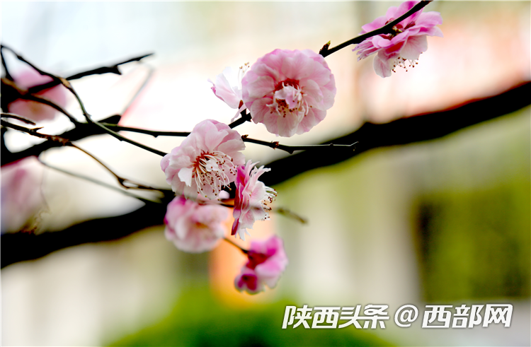 3f3049ffa245d44491f4354752803a9a.png