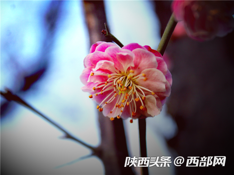 c5cb0c3f95aa3ed880ec78612ae74363.png