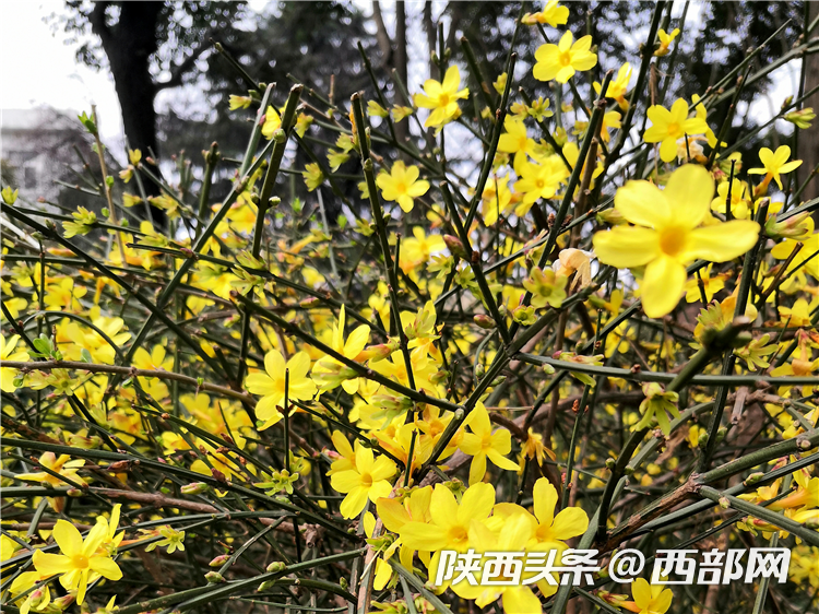 ef1a9f710d0463c905a1912acaa7d8e3.png