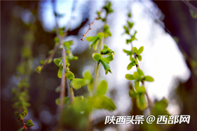 5901b148154d948a1391a8e8b5fbdea3.png